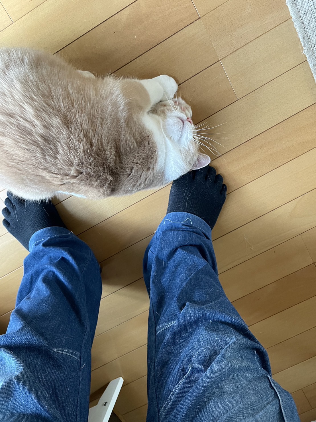 2023年12月10日　久喜市南栗橋　二重窓（内窓）取付工事