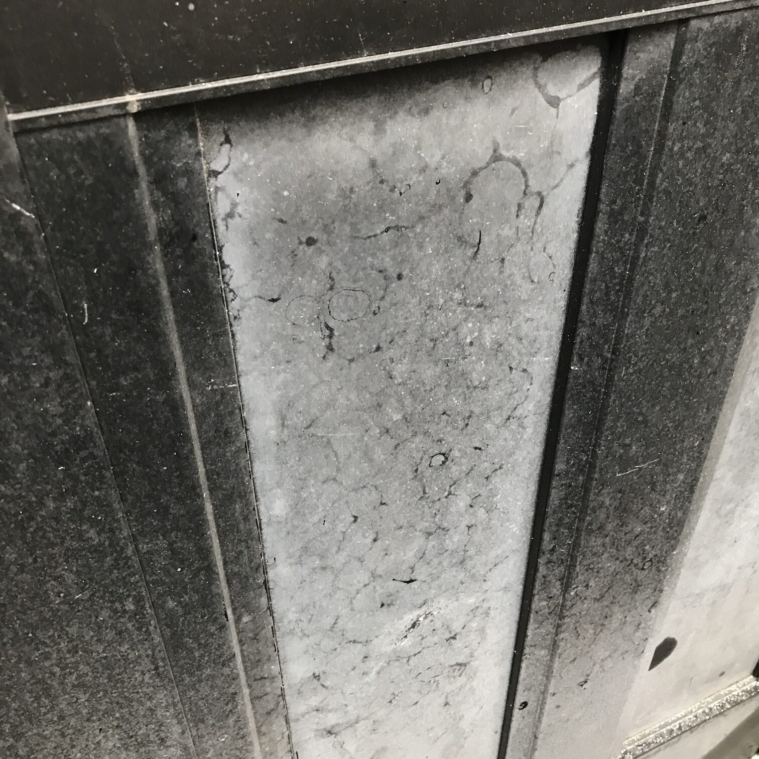 鴻巣市　きになる玄関 ドア 白い 汚れはなに？