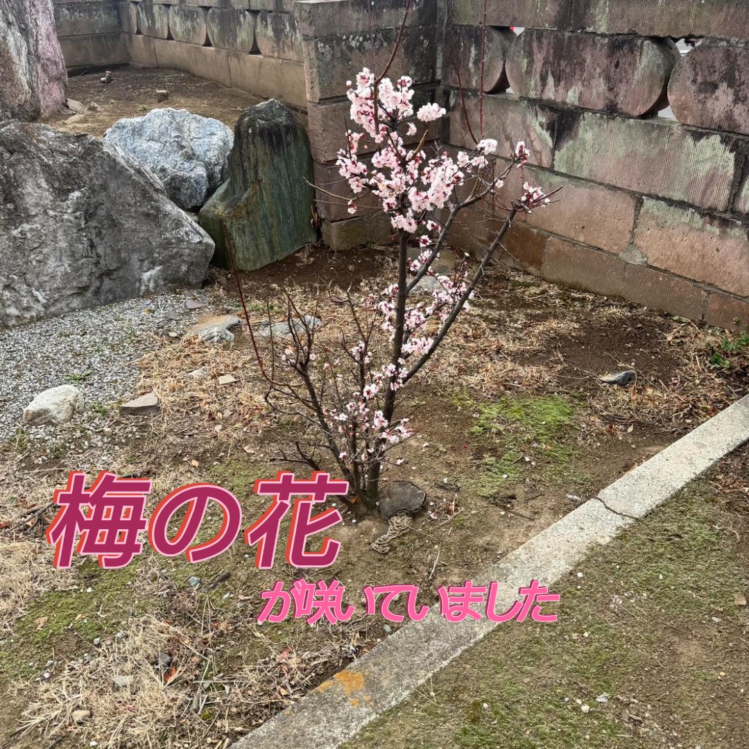 【埼玉県鴻巣市】玄関の結露対策３つのポイント！快適な住まいをつくるコツ 🚪❄️